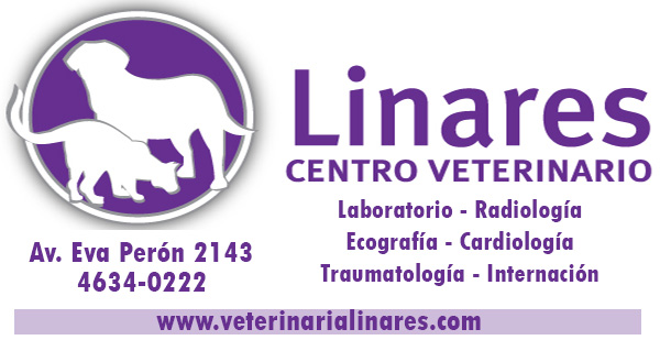 logo linares curvas ok